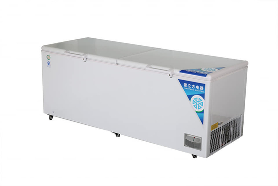 Deep Horizontal Direct Cooling Refrigerator Commercial Household Dual Purpose