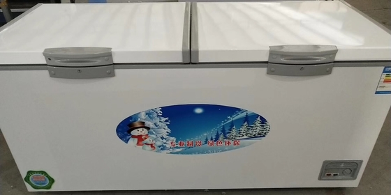 Deep Horizontal Direct Cooling Refrigerator Commercial Household Dual Purpose