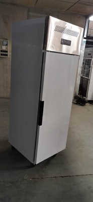 Stainless Steel Double Door Reefer Freezer Freezer